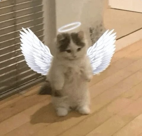 Saint Michi, the Arch Angel